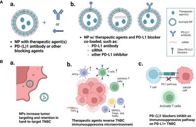 Nanoparticle-enhanced PD-1/PD-L1 targeted combination therapy for triple negative breast cancer